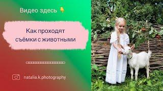 СЪЁМКИ С ЖИВОТНЫМИ  #творчество #фотографмосква #животные #искусство #фотография #видео