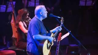 David Gilmour- Live at Robert Wyatt's Meltdown