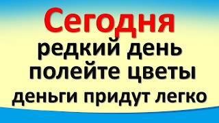 Сегодня 23 июля редкий день, полейте цветы, деньги придут легко. Луна. Карта Таро. Гороскоп