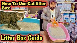 How to use Litter Box for Your Cats || litter Box Guide || Cat’s litter Box Training