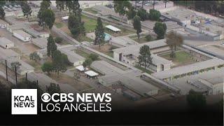 30 LA County probation officers charged with enabling "gladiator fights" at juvenile hall