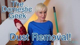 The Domestic Geek: Dust Removal