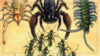 I DEFEND Against OVERPOWERED TITAN Insects With Matabele Ants in Empires Of The Undergrowth