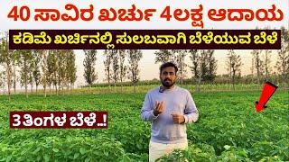 MBA ಹುಡುಗನ ಮಾಡ್ರನ್ ವ್ಯವಸಾಯದ ಐಡಿಯಾ ಸಖತ್ ಲಾಭ | Chia Seeds Farming in Karnataka Modern farming Kannada