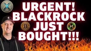 URGENT!  BLACKROCK JUST BOUGHT BITCOIN! XRP Price Prediction NEWS! #wealth #xrp