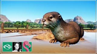  Building an Otters & Tapirs Habitat! | Planet Zoo Franchise mode | Gameplay | Ep. 2 |