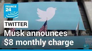 Controversial Twitter takeover: Musk announces $8 monthly charge for blue check mark • FRANCE 24