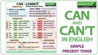 Can Can't Cannot | English Grammar Lesson | Learn English