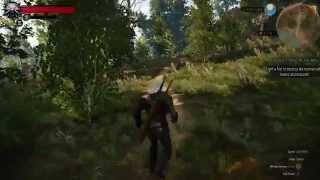 The Witcher 3: Wild Hunt [GTX 660] Ultra