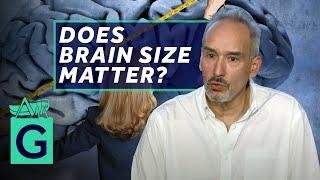 Does having a big brain make you smarter? -  Alain Goriely