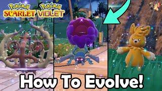 How To Evolve Pawmo, Bramblin & Rellor In Pokémon Scarlet & Violet! | How To Walk 1000 Steps Quickly