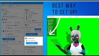 How To Setup VMagicMirror (FULL GUIDE) [Green screen, Avatars etc!]