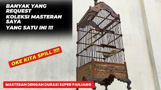 NIH SAYA SPILL SALAH SATU KOLEKSI BURUNG SUPER MEWAH YANG SAYA PUNYA 