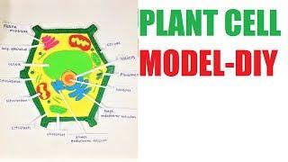plant cell 3D model making using cardboard | diy | science project | howtofunda  class 9 | still