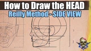 How to Draw the HEAD & FACE - Reilly Method SIDE VIEW - Art Tutorial