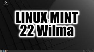 Linux Mint 22 Wilma | First Look