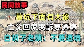 民間故事新編：墓坑下面有大象，亡父回家哭訴要遷墳，白胡子老頭：不要遷墳