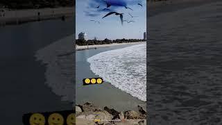 #shortvideo #instagram #kozhikodebeach kerala India #kundan mahi ️️