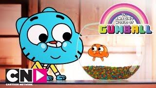 Die fantastische Welt von Gumball | Der Anfang (Ganze Folge) | Cartoon Network