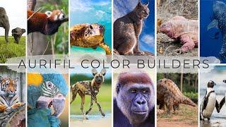 Introducing Aurifil's 2021 Color Builders