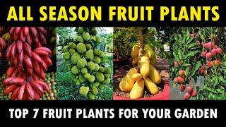 All Season Fruit Plants | Best All season Fruit Plants that can be grown in your Garden