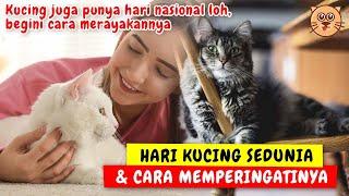 CAT LOVERS WAJIB TAHU! HARI KUCING SEDUNIA & SEJARAH HARI KUCING SEDUNIA HARI INTERNASIONAL KUCING