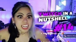 Twitch Fails in a Nutshell #14