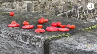 Cherry Tomato Bridge is Dublin's hottest new tourist attraction