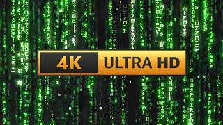 Matrix Screensaver Rain Code 12H 4K - Longest video on Youtube