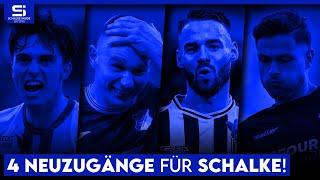 Stammspieler gesucht! Diese Innenverteidiger muss Manga auf der Liste haben! | S04 Analyse