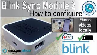 Blink Sync Module 2 - Initial Configuration