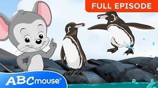 Search & Explore the Galapagos Islands! A Fun ABCmouse Adventure for Kids (Full Episode)