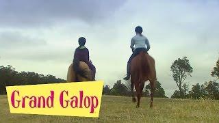 Grand Galop 224 - Impair et manque | HD | Épisode Complet