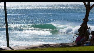 Iconic Aussie Waves - Burleigh