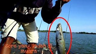 Mancing belanak di kala air jernih || spot indah muara progo Yogyakarta