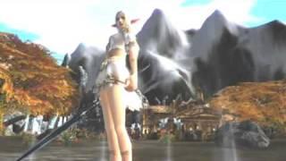 lineage 2 Valakas Story