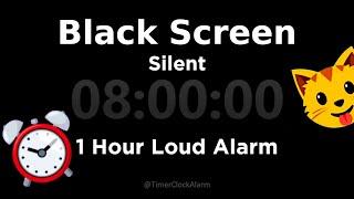 Black Screen  8 Hour Timer (Silent) 1 Hour Loud Alarm [Sleeping and Relaxation]