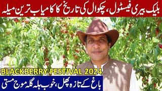 Fully Charged BLACKBERRY FESTIVAL 2024 | Barani Agricultural Research Institute Chakwal @aqeelferoz