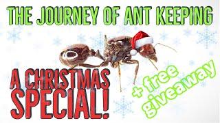 The Journey of Ant Keeping (A Christmas Special)