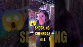 When Magic leaves Shehnaaz Gill speechless  🪄 #shorts #shehnaazgill