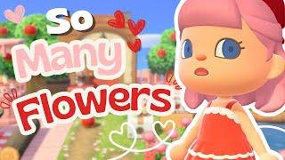 Flower Fields and Apple Orchard  | LoveCore FairyCore Island | ACNH Build