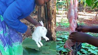 How to Slaughter a rabbit//African village life