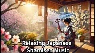 Relaxing Japanese guitar Shamisen Music | Traditional Japanese Music for Meditation and Relaxation