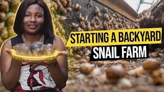 A Simple Formula To Making Millions In Snail Farming | 2023 Guide