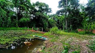 Walk Explore in forest in my hometown