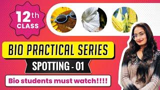 How to do SPOTTING | Biology Practical Class 12| top coaching