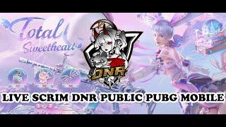 SCRIM DNR PUBLIC ROOM ADVANCE X3 PUBG LIVE TIKTOK 06/01/2025