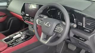 2023 Lexus NX250 - Graphite black with Dark Rose interior trim.