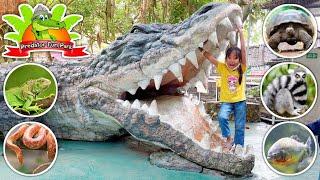 Awas Ada Buaya raksasa‼️Serunya Belajar Mengenal Hewan di Predator Fun Park Batu Malang