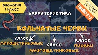 Тип Кольчатые черви. Биология 7 класс. Классы пиявки, много-, малощетинковые Дождевые черви. ЕГЭ